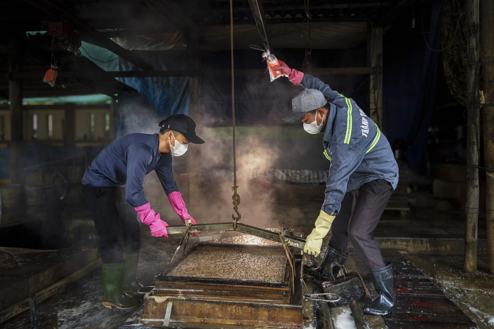 Hấp cá trong lò trước khi đưa ra sân phơi 