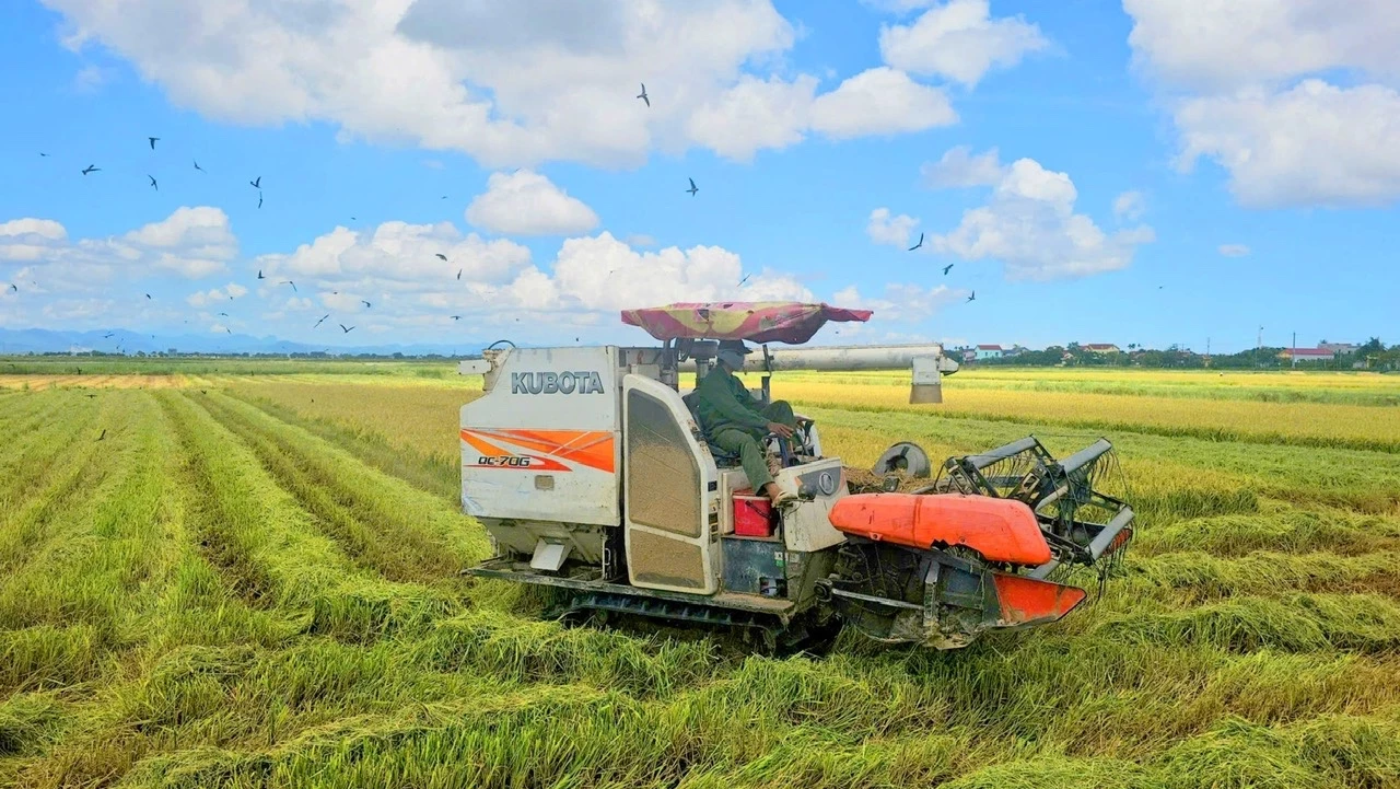 Hợp tác xã Dịch vụ nông nghiệp Đại Phong đẩy mạnh cơ giới hóa trong sản xuất  -Ảnh: M.L