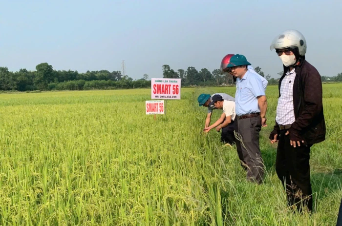 Lan tỏa những việc làm vì dân