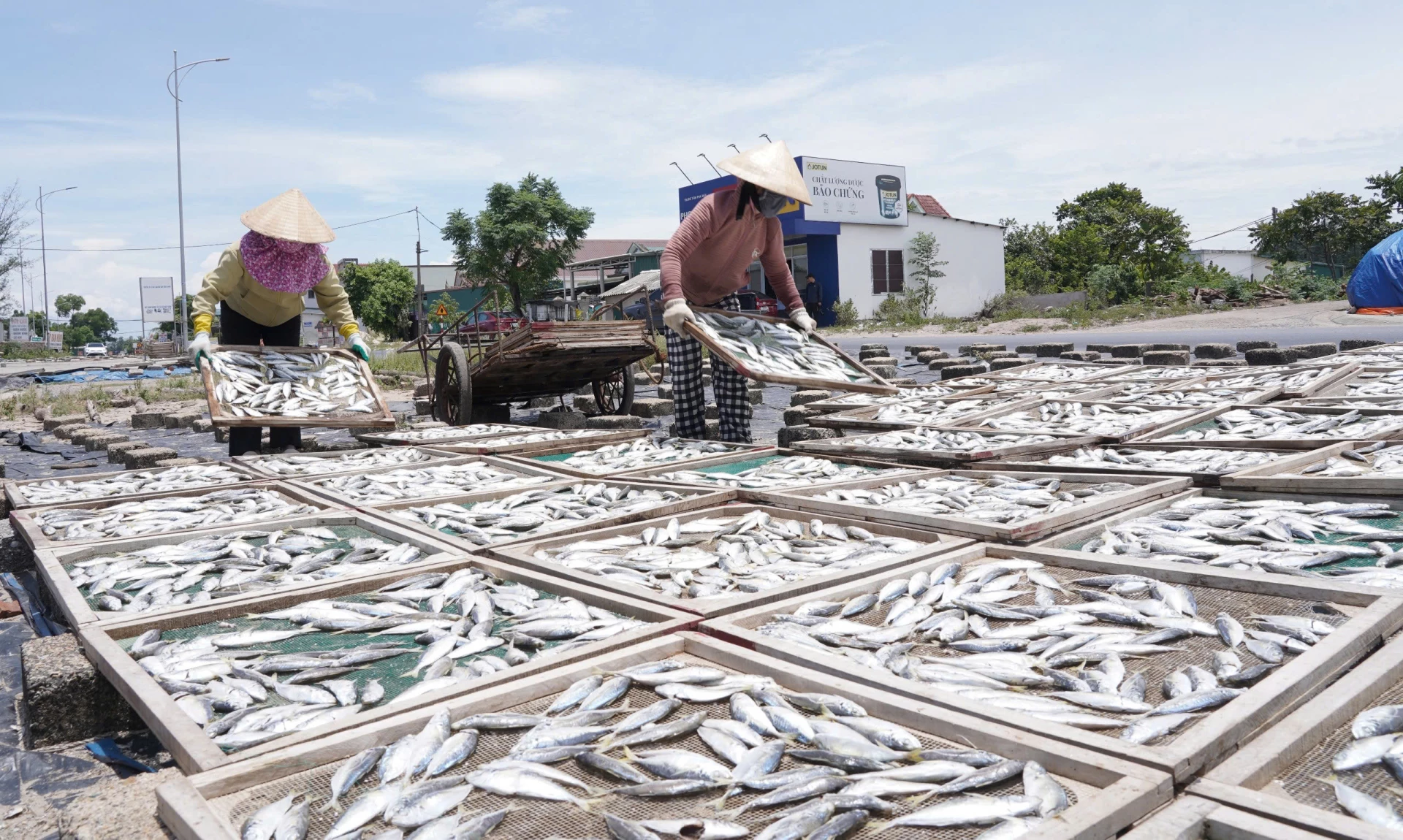 Nghề hấp sấy cá khô truyền thống góp phần giải quyết việc làm cho lao động vùng biển - Ảnh: Phan Khiêm