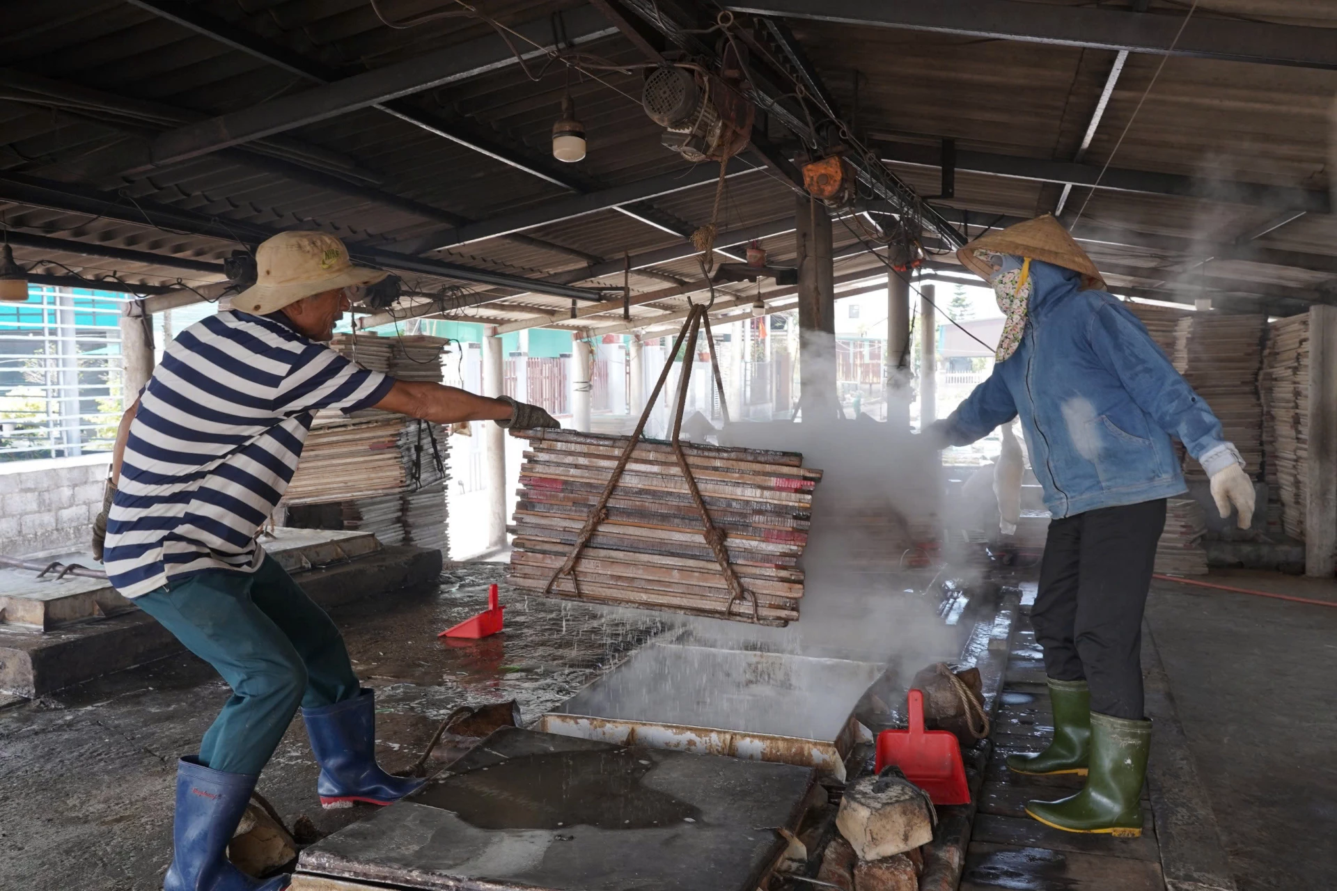 Công đoạn hấp cá tại một cơ sở chế biến thủy sản ở xã Cửa Việt - Ảnh: Phan Khiêm 