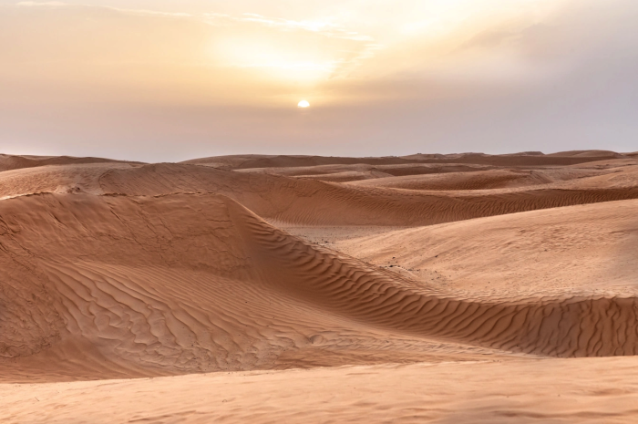 Niger: Gần 50 người chết giữa sa mạc Sahara