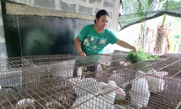 Để nông thôn mới khởi sắc