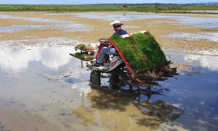 Để hợp tác xã bứt phá trong nền kinh tế hiện đại-Bài 2: Gỡ 'điểm nghẽn' để hợp tác xã hội nhập