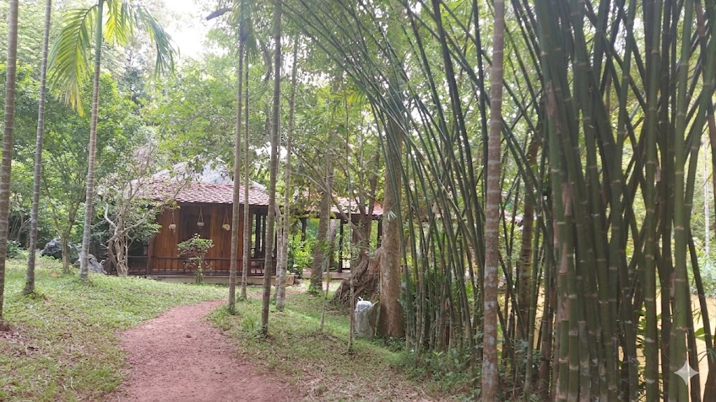 Nét quê - Ảnh: Nh.V