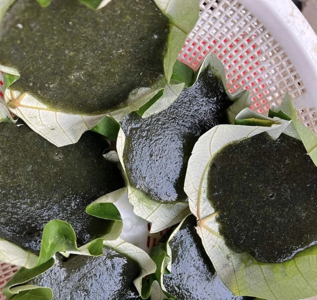 Bánh đúc rau câu, món ăn đặc trưng vùng biển bãi ngang Cửa Tùng.MH