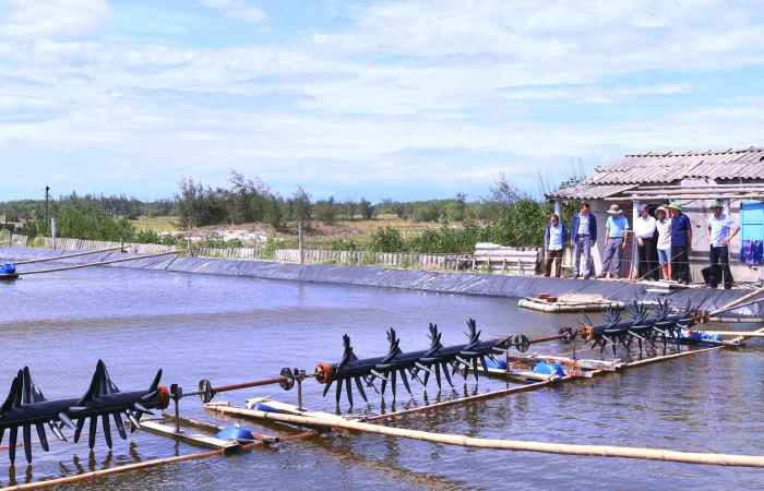 'Đánh thức' vùng cát