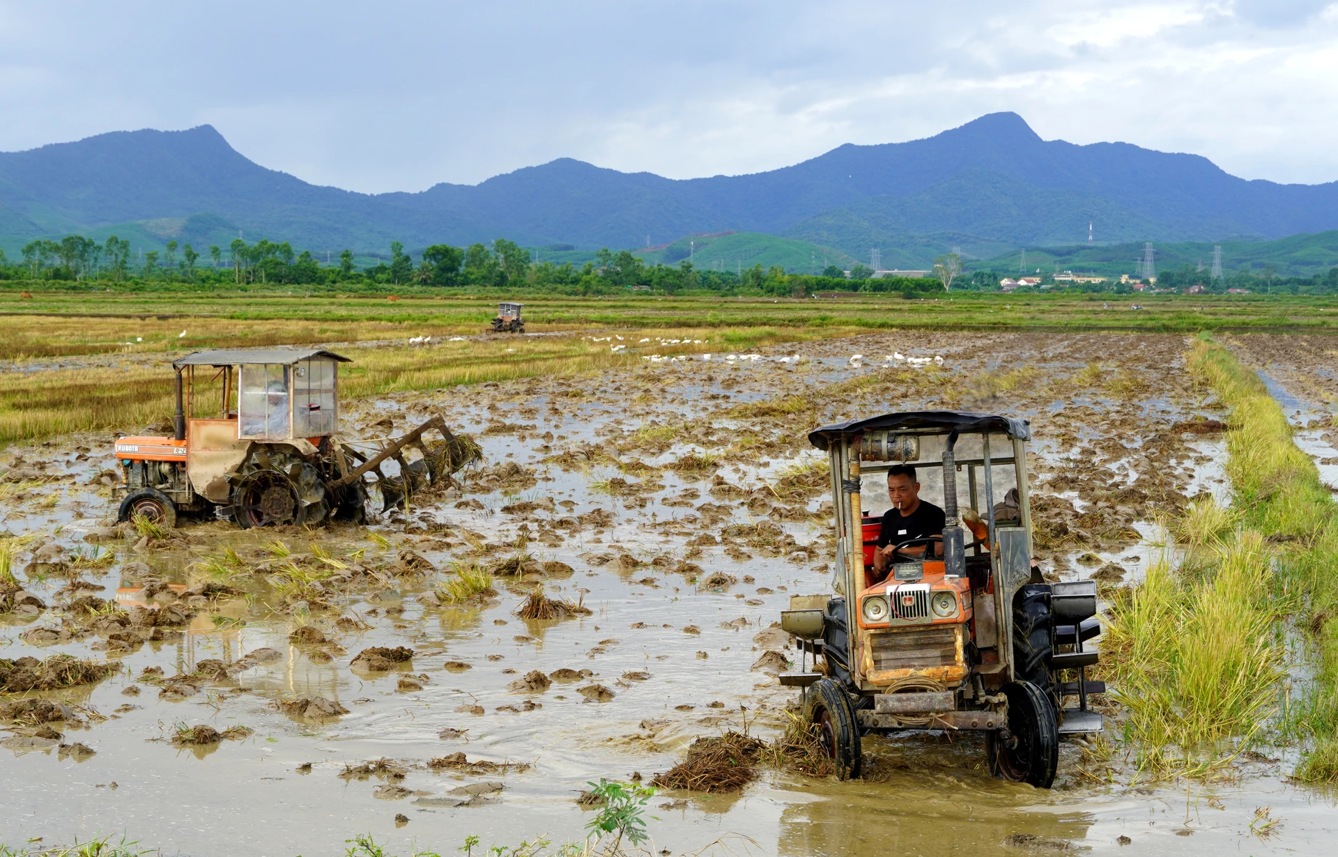Hợp tác xã Dịch vụ nông nghiệp Đức Ninh triển khai vụ hè-thu 2026 - Ảnh: H.Tr