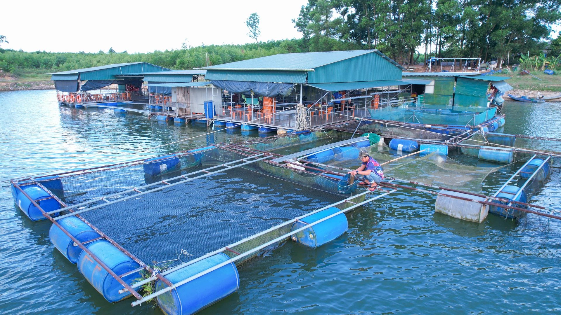 Nuôi cá lồng kết hợp phục vụ ẩm thực tại chỗ tạo thu nhập ổn định cho gia đình anh Trần Viết Tý, xã Hiếu Giang - Ảnh: L.T