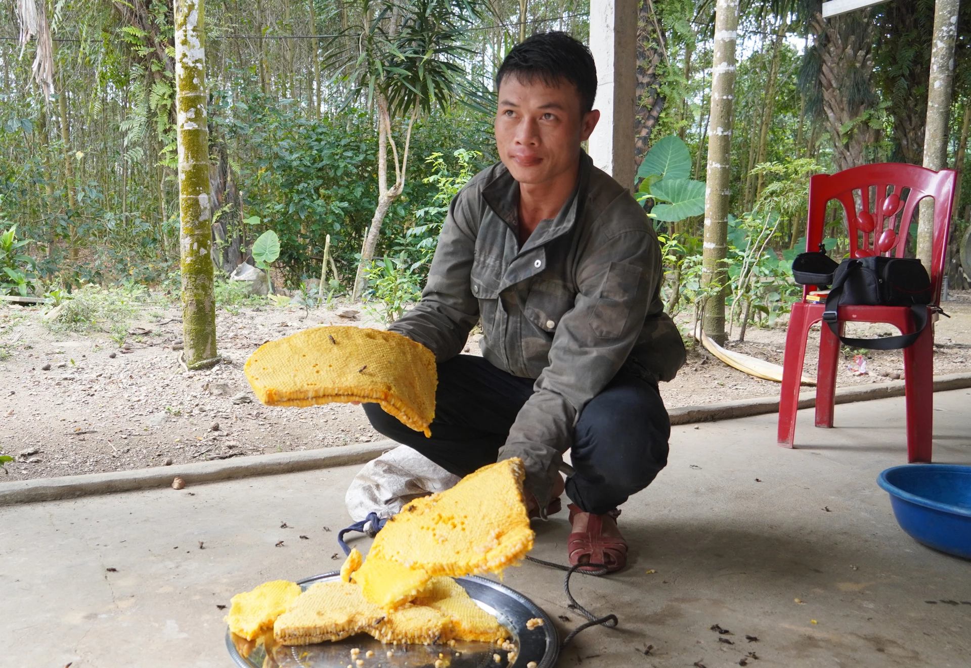 1kg thơờng ong bán khoảng 100 nghìn đồng, cả tổ ong này anh Quyết bán được khoảng 700 nghìn đồng - Ảnh: X.V