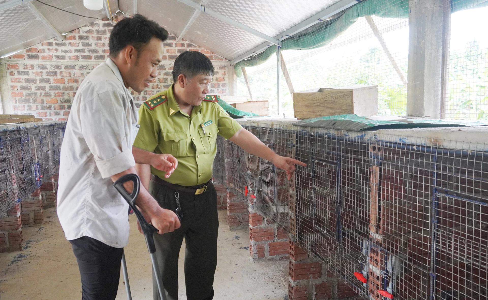 Lực lượng Kiểm lâm kiểm tra mô hình nuôi chồn hương tại xã Kim Điền - Ảnh: X.V