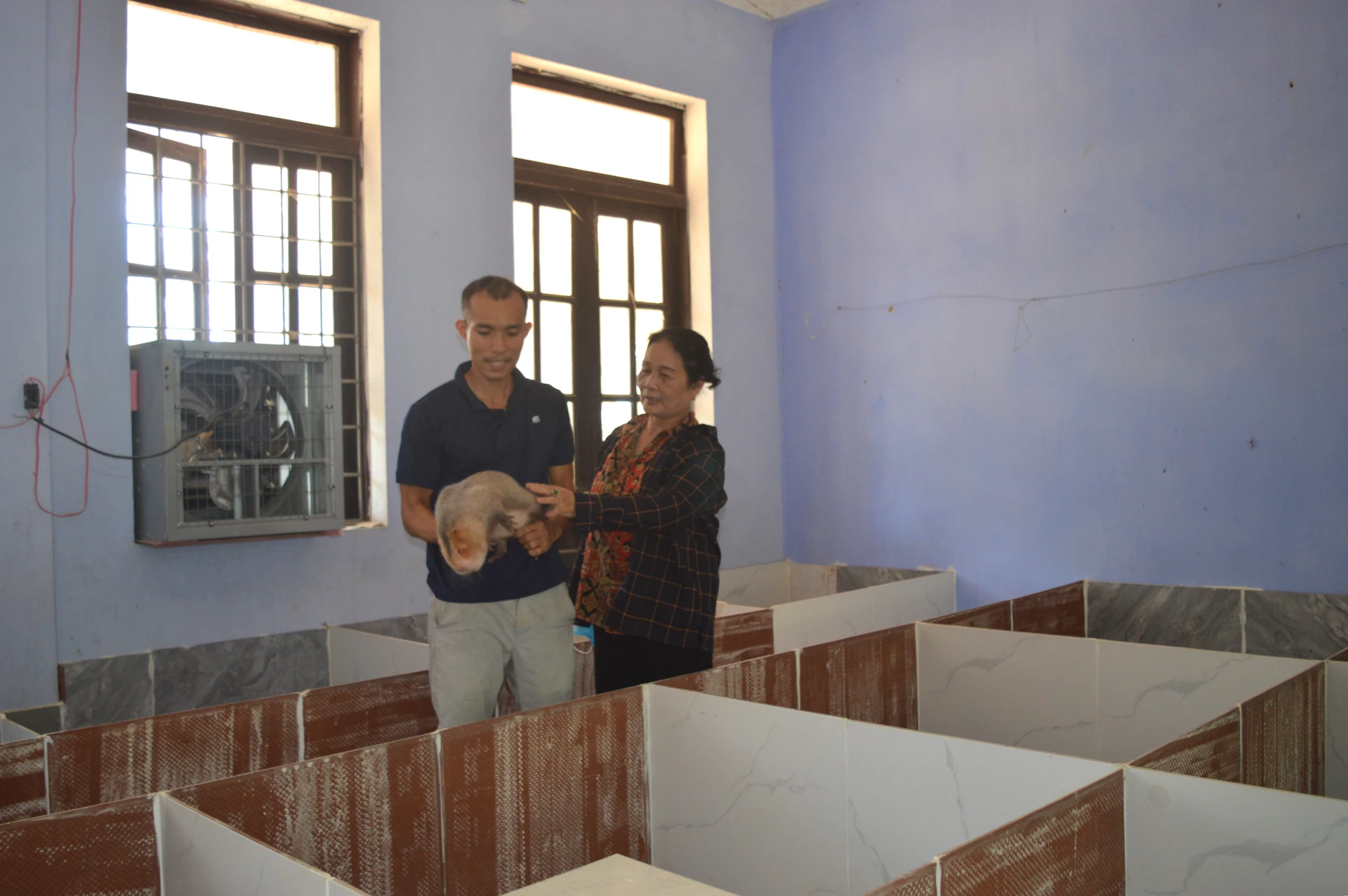 Mô hình nuôi dúi của anh Trần Ngọc Hòa, ở phường Đồng Sơn - Ảnh: M.L
