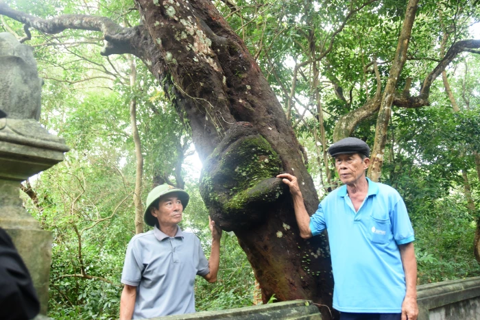 Giữ rừng bằng hương ước