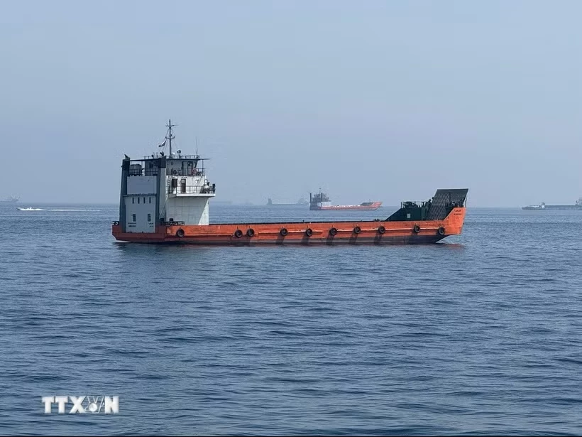 Tàu thương mại chờ đi qua eo biển Hormuz. (Ảnh: THX/TTXVN phát)