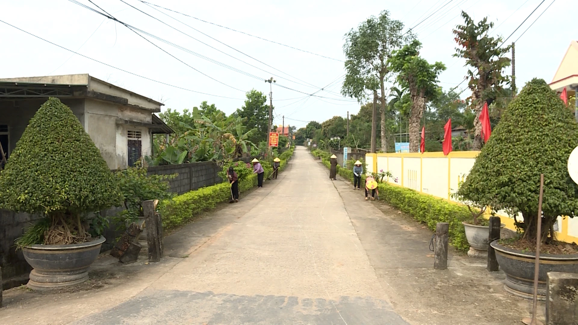  Phong trào “Hàng rào xanh” tạo cảnh quan môi trường xanh, sạch, đẹp - Ảnh: Thùy Trang