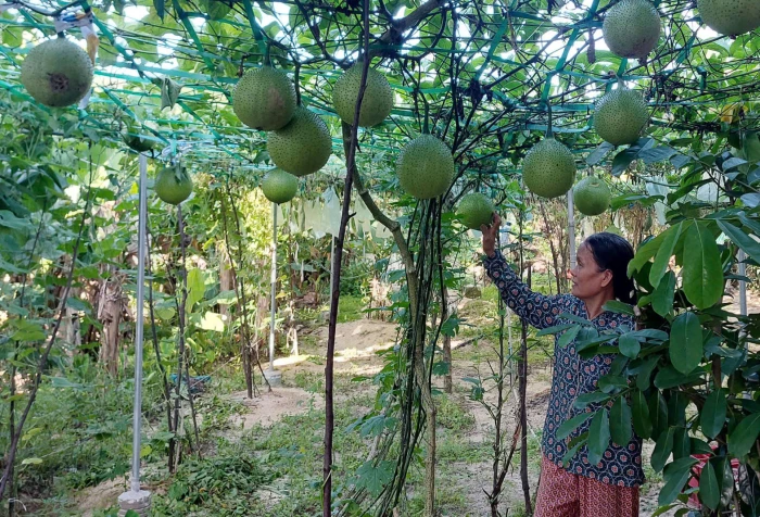Cùng giúp nhau phát triển kinh tế