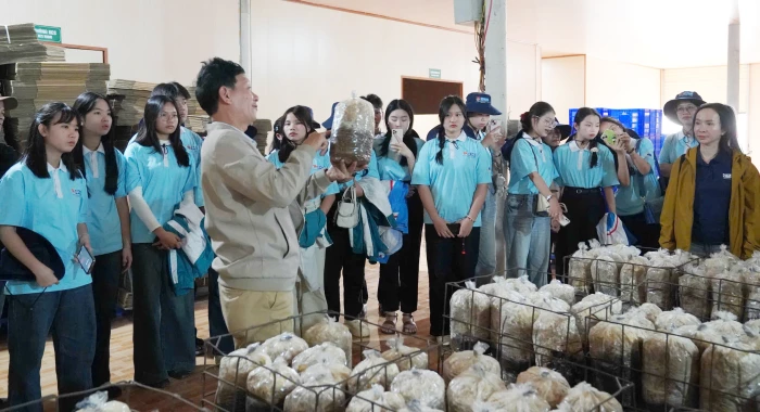 Cơ hội bứt phá cho hợp tác xã