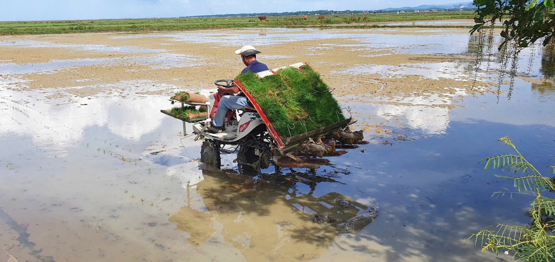 Để tồn tại và phát triển, các hợp tác xã cần phải thay đổi tư duy sản xuất - Ảnh Đ.N
