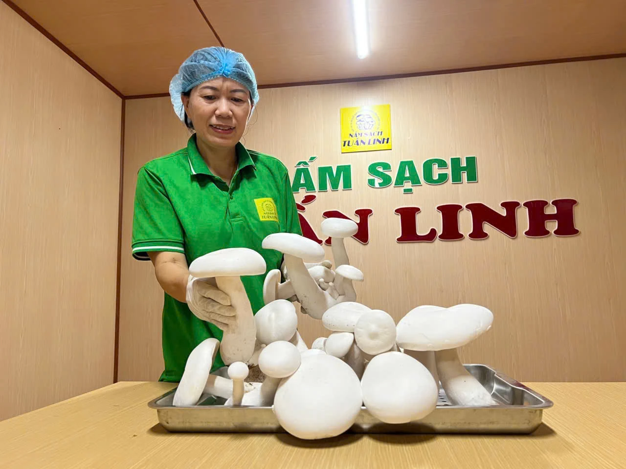 Hợp tác xã Sản xuất nấm sạch và kinh doanh nông nghiệp Tuấn Linh hiện có 14 sản phẩm đạt chuẩn OCOP - Ảnh Đ.N