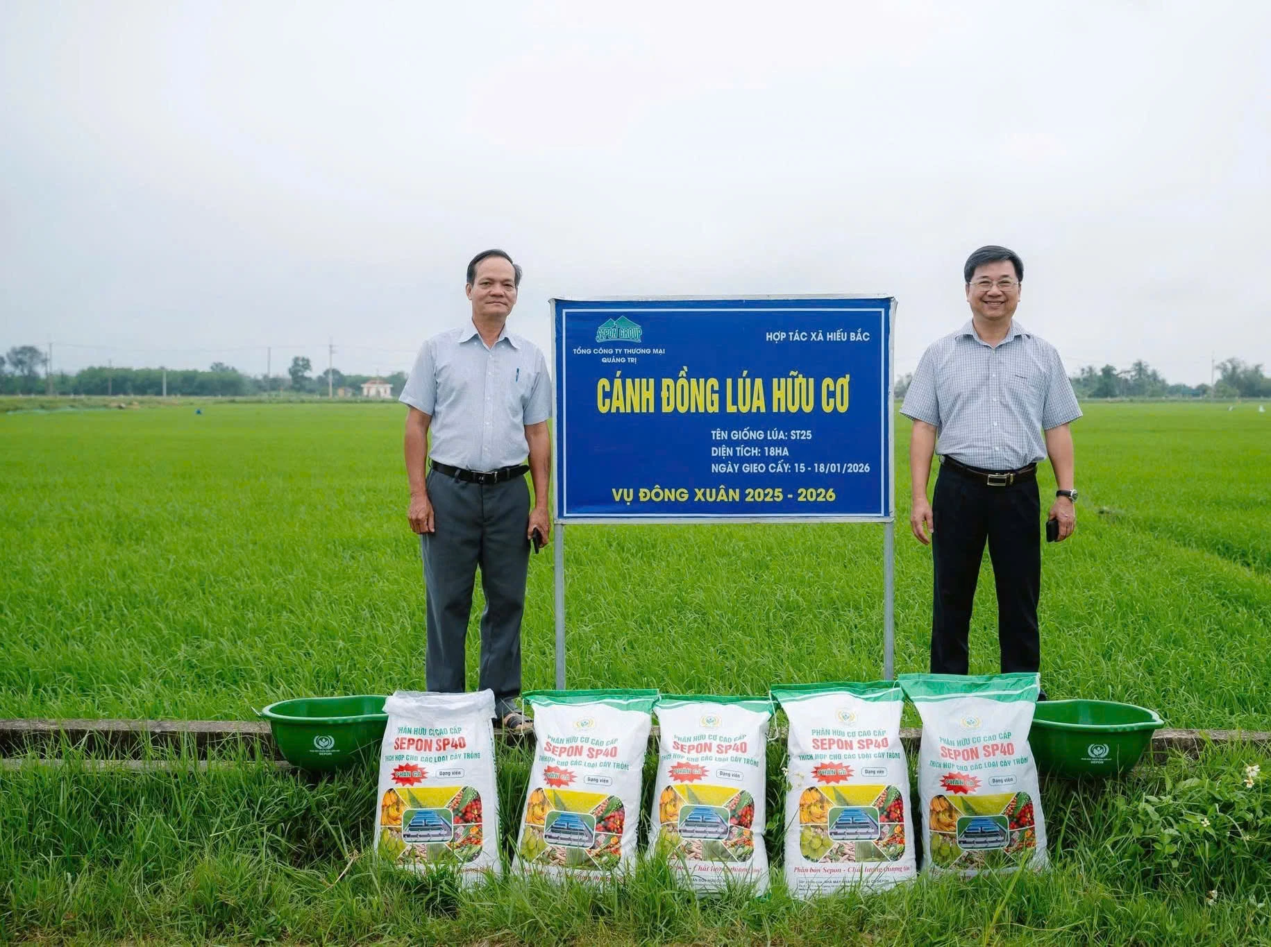 Hợp tác xã Nông nghiệp Hiếu Bắc chú trọng liên kết sản xuất lúa hữu cơ - Ảnh M.H 