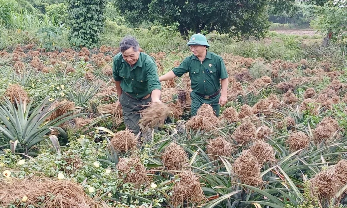 Nghĩa tình đồng đội