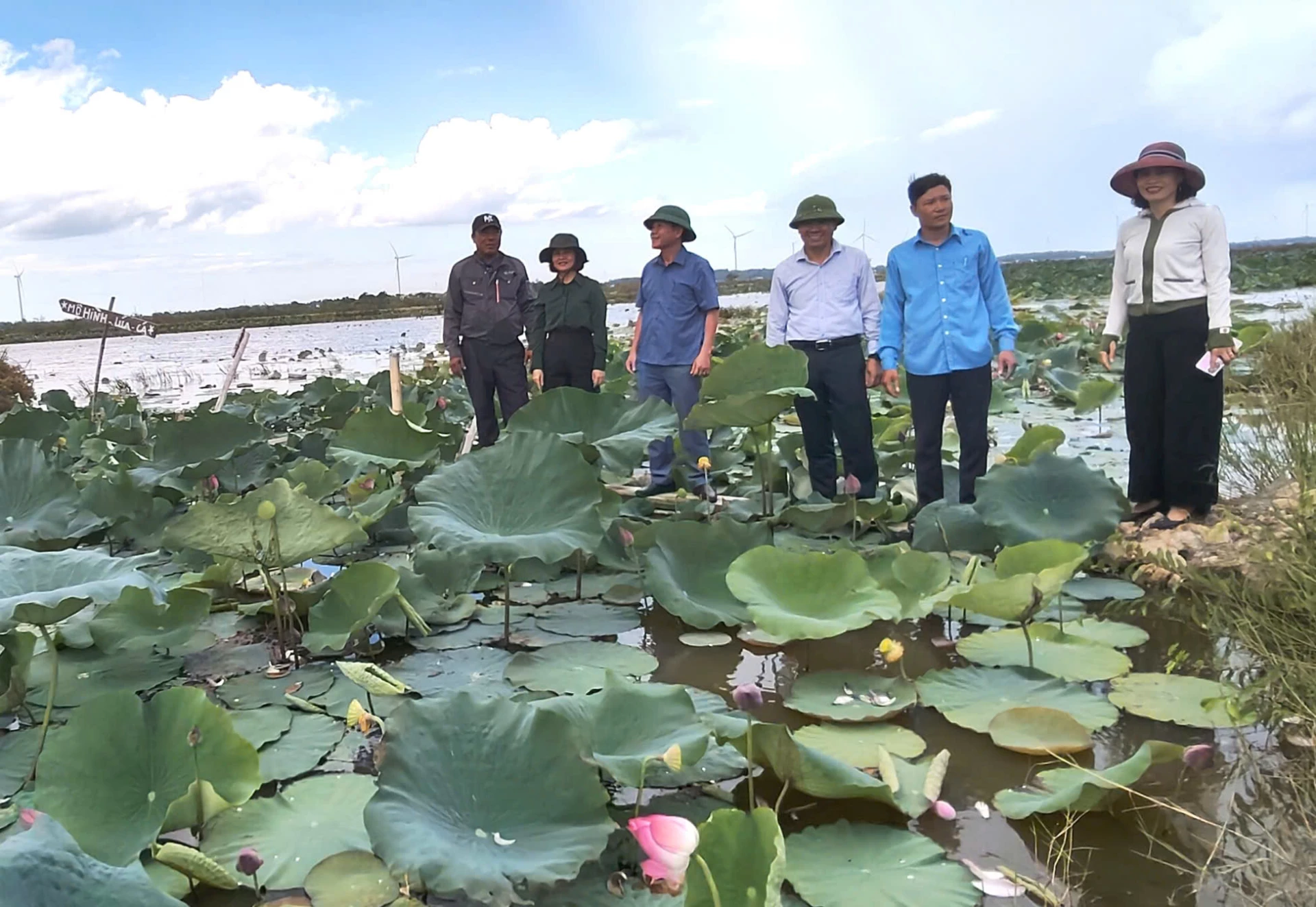 Kiểm tra mô hình trồng sen trên đất lúa chuyển đổi tại xã Lệ Thủy. Ảnh: Đặng Hiền