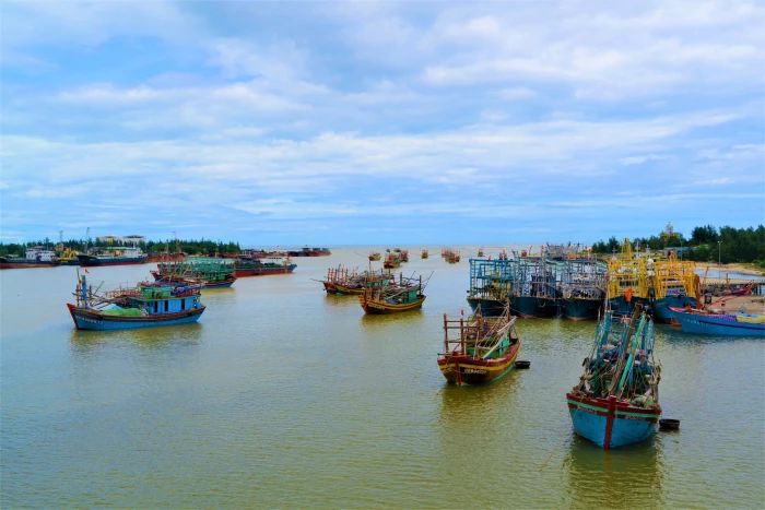 Kỳ thú chuyện biển