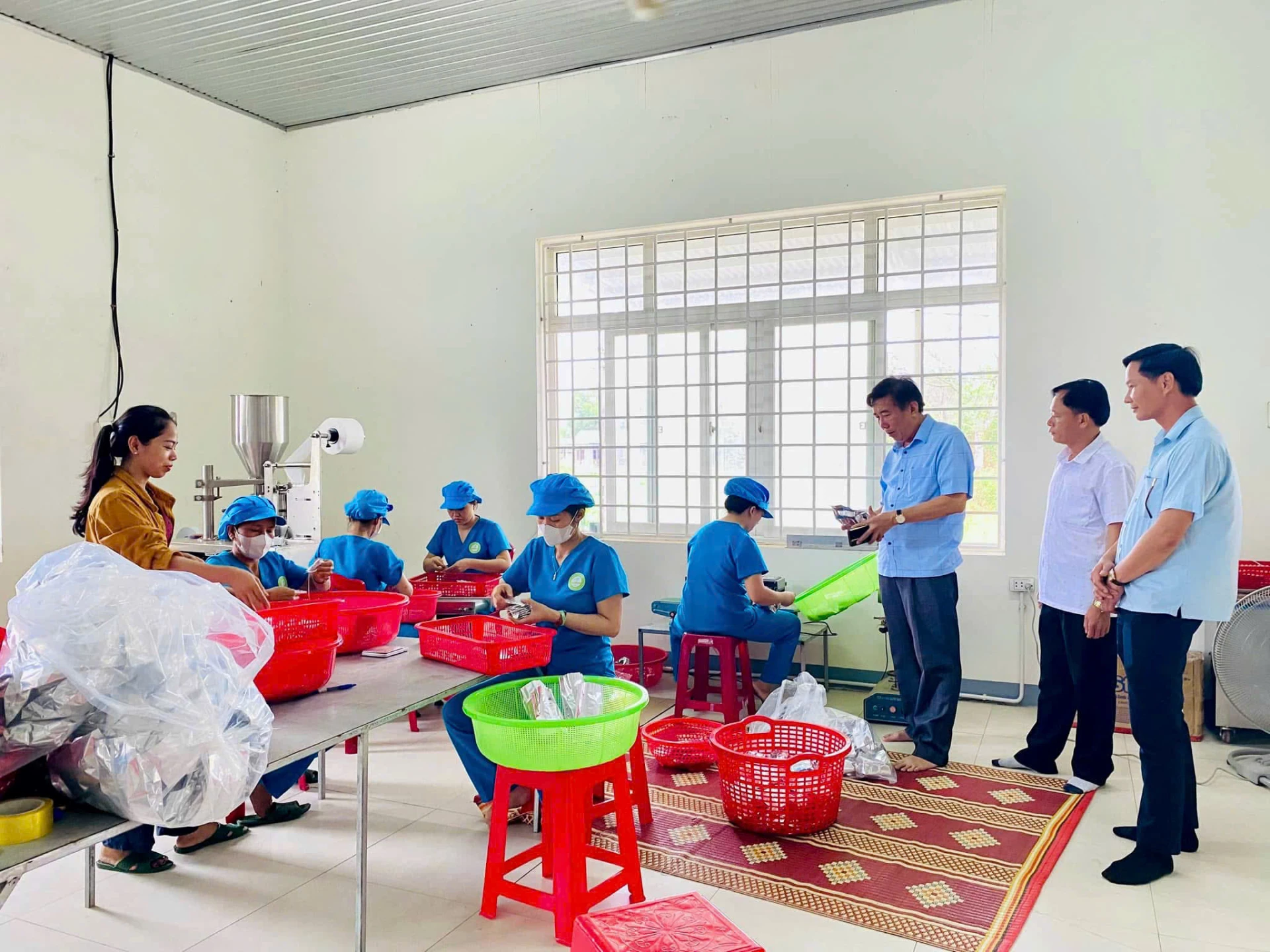 Lãnh đạo xã Triệu Cơ thăm mô hình sản xuất Trần Lan.MH