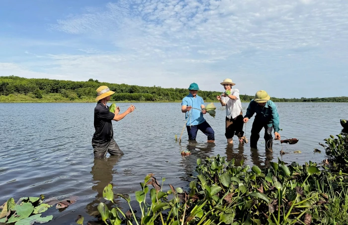Chuyển đổi 11 ha đất nông nghiệp kém hiệu quả sang trồng sen