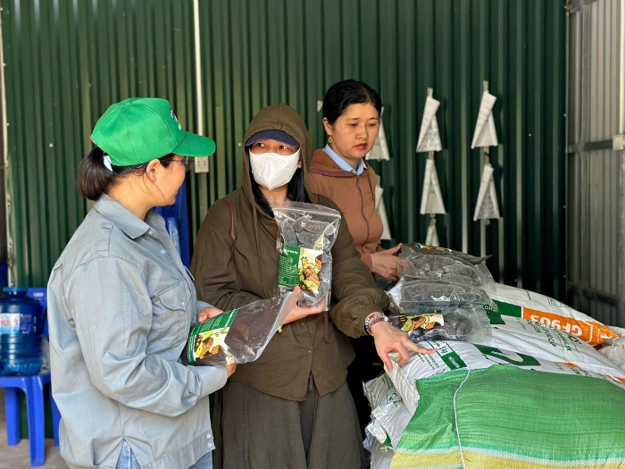 Sinh kế xanh nơi biên giới