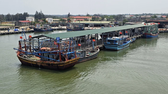 Vững vàng bám biển