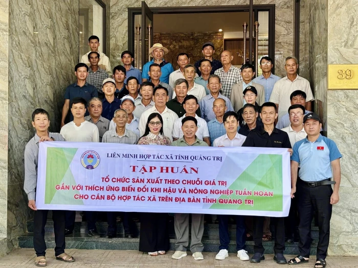 Thu hút cán bộ trẻ cho hợp tác xã-Yêu cầu từ thực tiễn