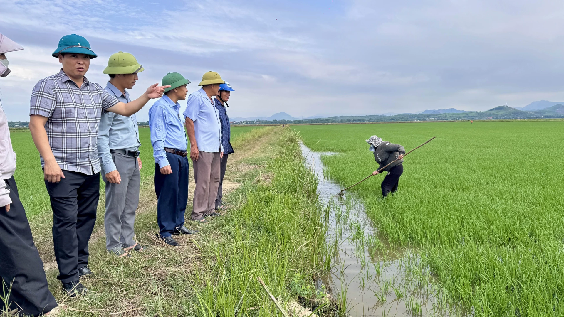 Chi cục Trồng trọt và Bảo vệ thực vật tỉnh Quảng Trị kiểm tra mô hình mở rộng sản xuất lúa vụ Hè Thu năm 2026 tại HTX Sản xuất kinh doanh dịch vụ nông nghiệp Thống Nhất, xã Trường Ninh - Ảnh: Quang Ngọc.