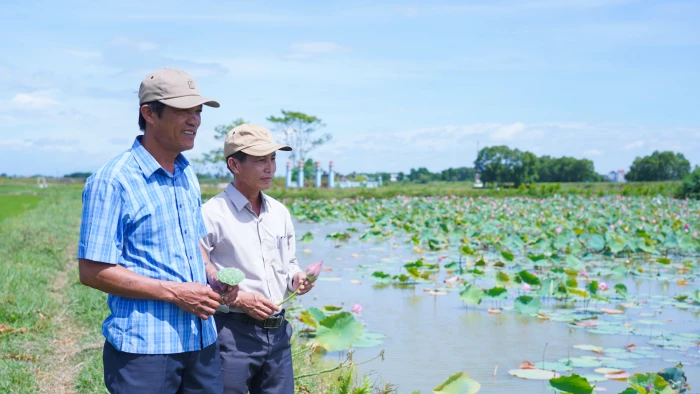 Phát triển kinh tế bền vững từ mô hình tổng hợp