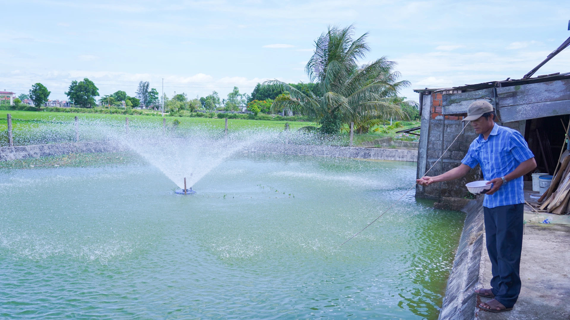 Nhờ nắm bắt được kỹ thuật nuôi, mô hình tôm càng xanh của gia đình anh Lê Bá Khánh hiện cho hiệu quả cao - Ảnh: L.T