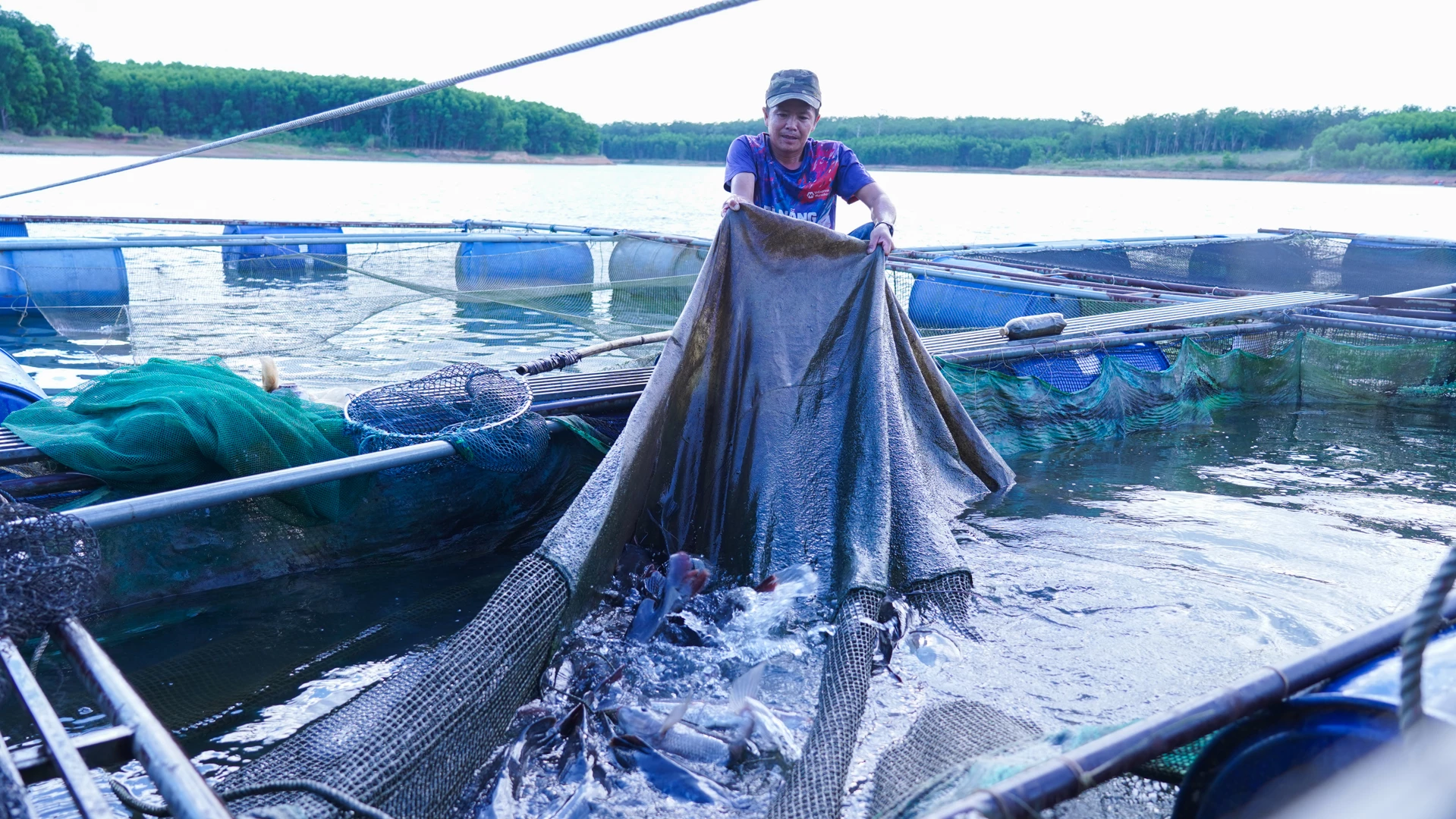 Việc nuôi nhiều loại cá trong lồng theo quy trình đặc biệt đã thu hút thực khách đến với mô hình từ lồng nuôi đến bàn ăn của anh Trần Viết Tý - Ảnh: L.T