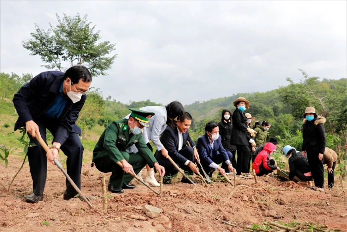 Nối dài những đường hoa
