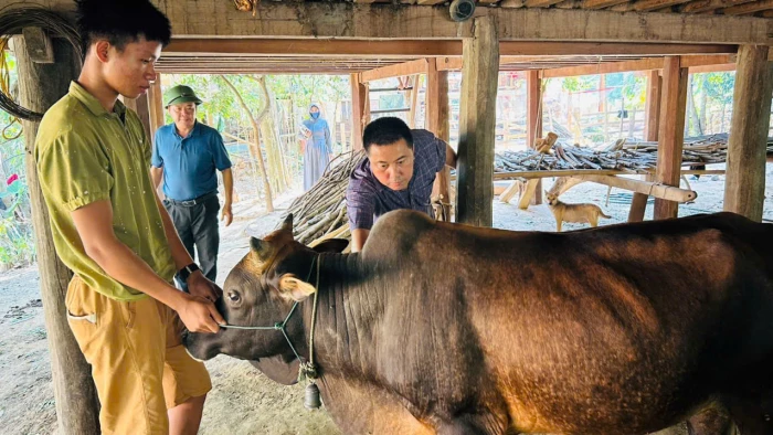 Phòng, chống dịch bệnh cho gia súc