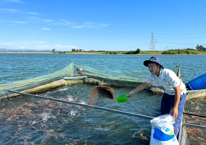 Khát vọng khởi nghiệp