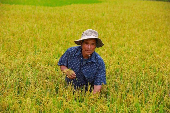 Người đuổi gió trên đỉnh Cu Vơ
