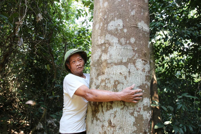 Người giữ rừng bản địa