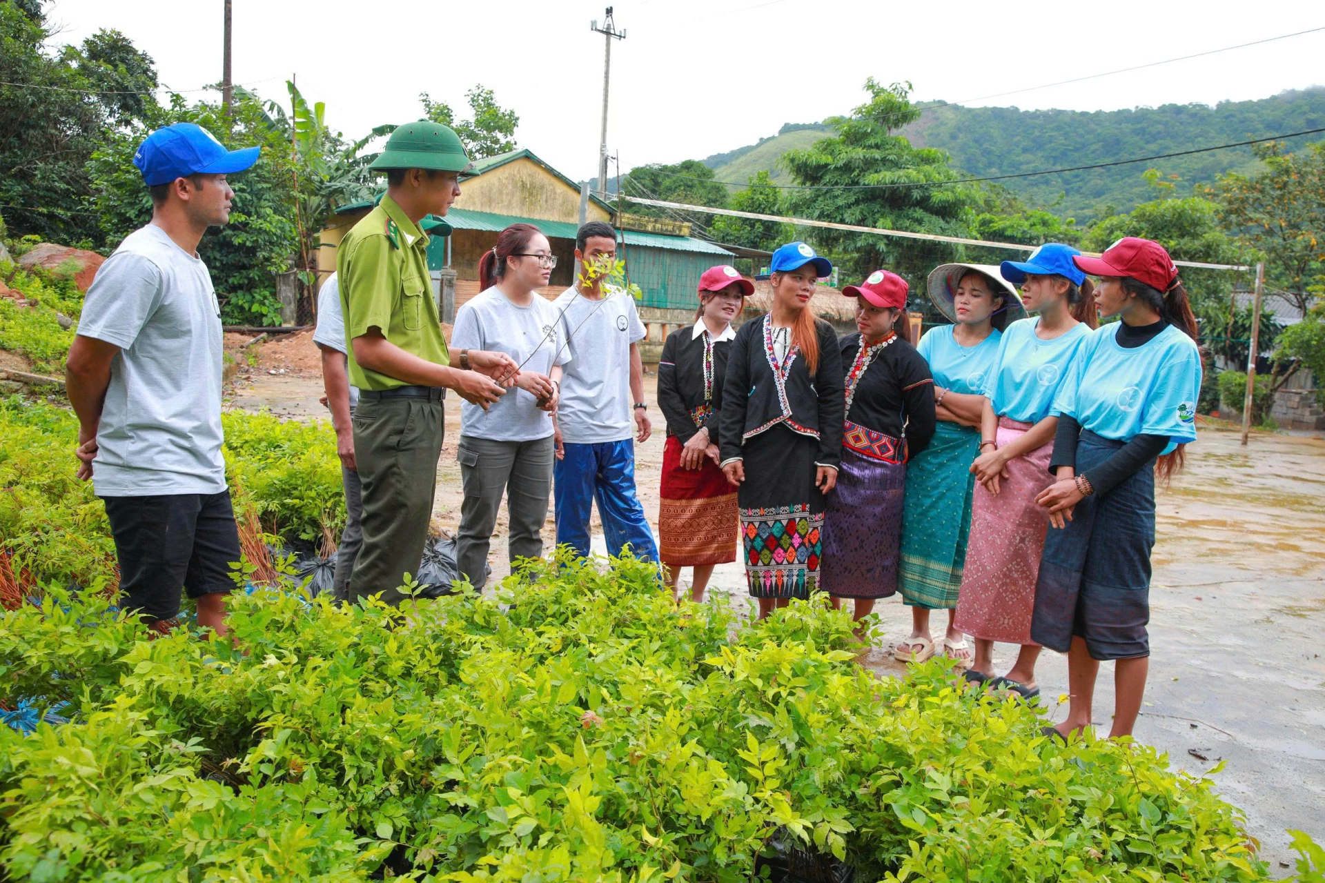 Đồng bào Vân Kiều ở thôn Hồ, xã Hướng Phùngtiếp nhận giống cây bản địa do Trung tâm Bảo tồn thiên nhiên và phát triển hỗ trợ - Ảnh P.T.L

