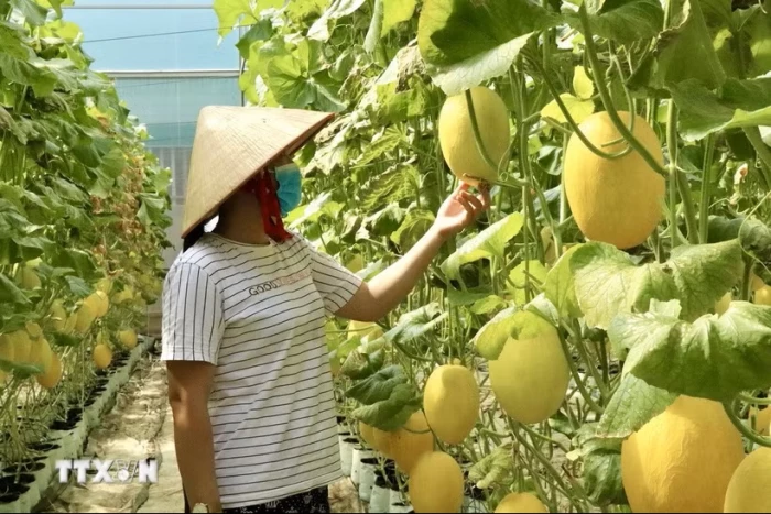 Bộ Nông nghiệp và Môi trường công bố kế hoạch đổi mới sáng tạo thời kỳ 2026-2030