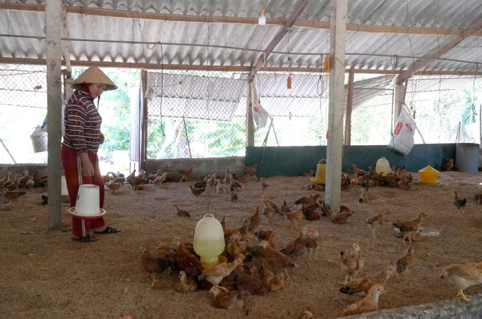 Đa dạng vật nuôi nâng cao giá trị kinh tế