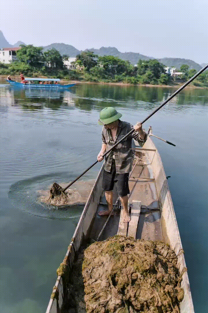 Hình ảnh chiến dịch