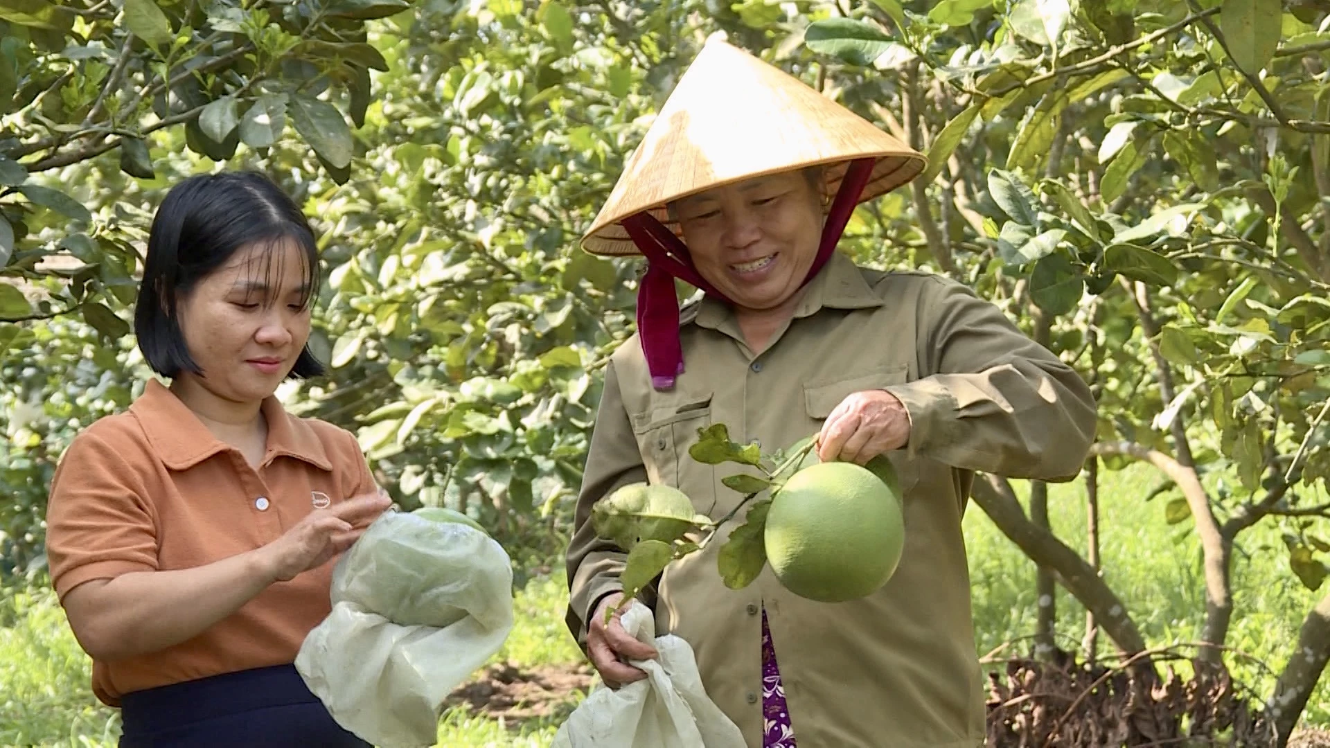 Niềm vui của người dân Trường Phú trên những khu vườn mẫu - Ảnh: H.N