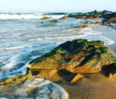 Đá Nhảy - Ảnh: CTV