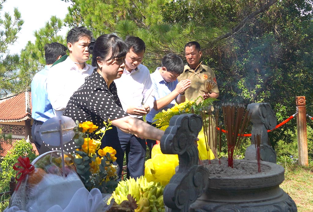 Đoàn công tác Bộ Y tế tưởng …  - Ảnh: C.H