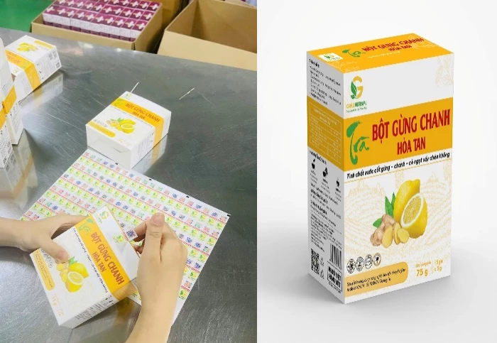 Hướng đi mới cho cây gừng Quảng Trị