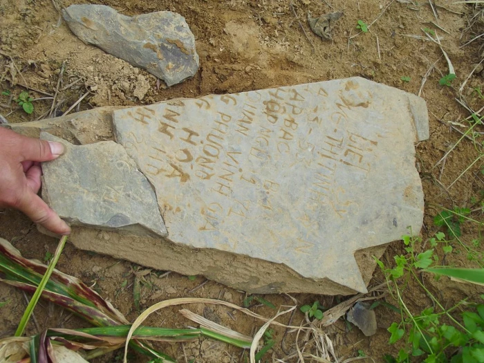 Thư về Trường Sơn